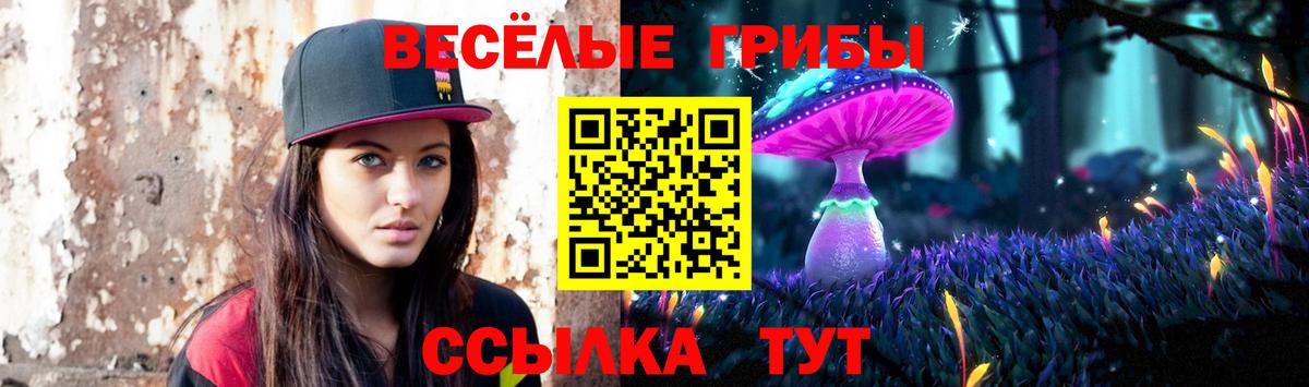 Псилоцибиновые грибы Psilocybe Кизляр